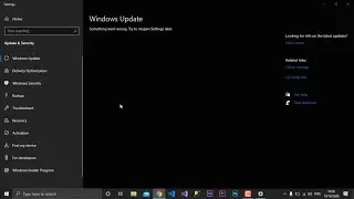 Windows 10 Update | Something went wrong try to reopen settings later