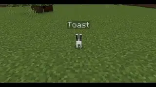toast