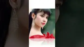 Tóm Tắt Tiểu Sử Diễn Viên Việt Trinh