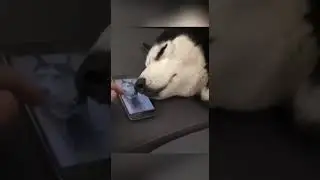*жалуется на жизнь*
