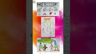 VISUAL THINKING | Ejemplos de alumnos (#shorts #short)