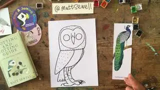 Draw a barn owl with Matt Sewell | Big Wild Sleepout: The Lockdown Edition