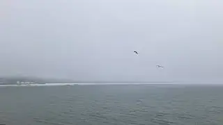 (Не)короткометражный фильм «БЗСХДНСТЬ / БЗМТЖНСТЬ»