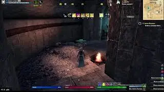 The Elder Scrolls Online.Вечерние приключения