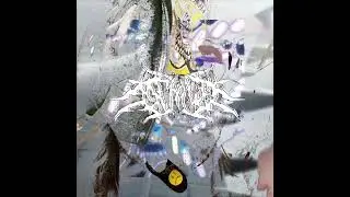 mfwaves 