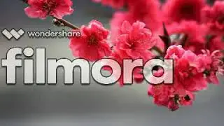 60 love nice hd wall paper 2nd video