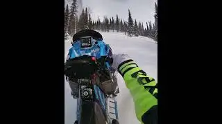 Polaris khaos 850 - зимнее эндуро здорового человека!