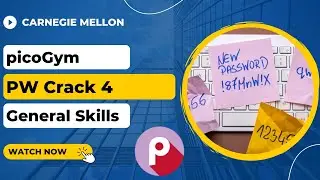picoGym (picoCTF) Exercise: PW Crack 4