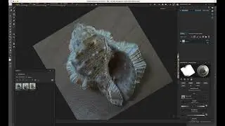 Retopologizing a 3D Scanned Shell 3