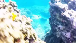 Snorkeling BALI 2016 - AMED - GILI - LEMBOGAN