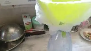 Дойка козы и утренняя управа.