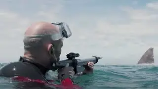 The Meg (2018) - Shooting a GPS Tracker on the Meg Scene | Movie Clip HD
