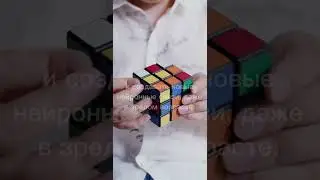 Нейромарафон "Память"
