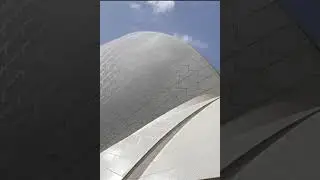 🌟 Sydney's Harbor & Opera House 🌟 #australia #shorts
