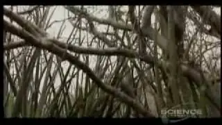 Miracle Planet Episode 5 part 3