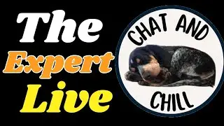 🔴Live chat. Titanic, Aliens, and True Lies?