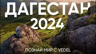 Познай мир с Vedel.2024