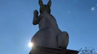What Happened to Rabbittown?