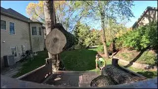 truck rope and common sense versus log loading. who wins?