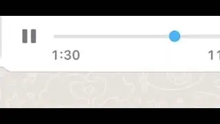Áudio vazado mostra conversa entre membros de facção