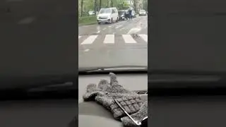 папа с водителями договорился- можно идти