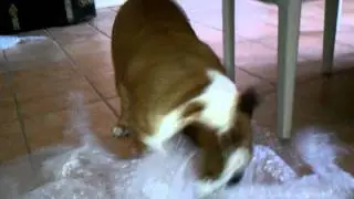 Igor bubble wrap attack