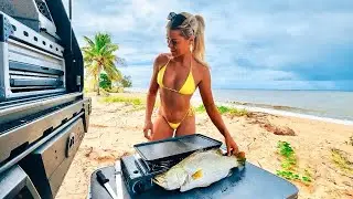 BARRAMUNDI SESH UP NORTH 🐟 CATCH & COOK 🌴