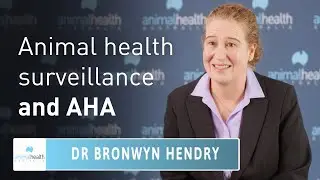 Why is animal health surveillance important and how does AHA help?
