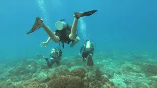 Scuba Diving Zanzibar