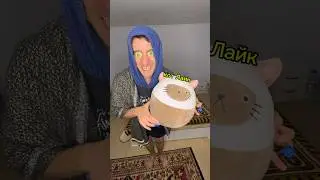 A cat thief stole all the cats 