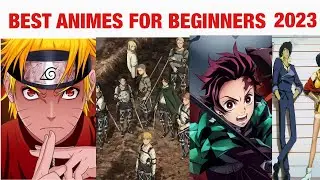 Best Anime for Beginners to Watch in 2023