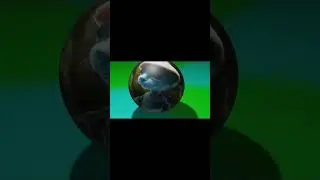 моя первая анимация в Blender #blender #3d #шайлушай