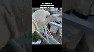 Я в шоке от этих пеочаток!