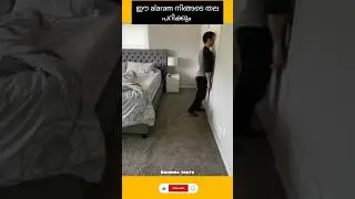 ഈ alaram കണ്ടോ