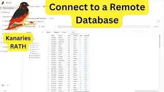 Connect to a Remote Database in RATH