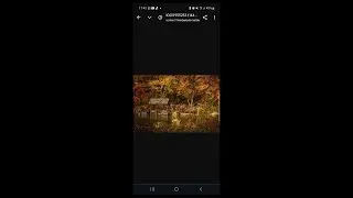🔥 How to Open HEIC Images - EASY!! View HEIC Pictures on Android | HEIC to jpeg | Troubleshooting