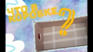 ЧТО В КОРОБКЕ!!//с братом//💕😁