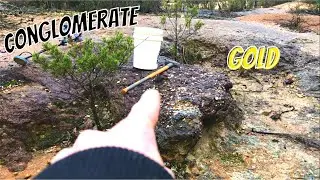 My Richest Gold Find, is underneath solid Conglomerate! What Next?