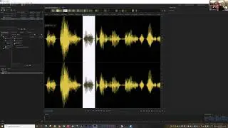 aud 12 cut copy and paste audio 02