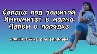 Сердце под защитой, иммунитет в норме, нервы в порядке