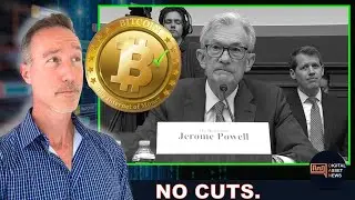 FED SAYS NO CUTS. MARKET DOESN'T CARE. THE OPEN NETWORK & POLYGON