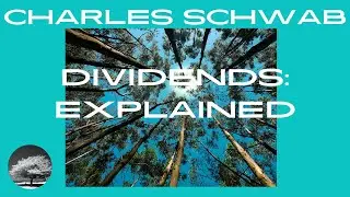 Charles Schwab SCHD Dividends: Explained