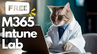 Get an M365 / Intune Lab for FREE