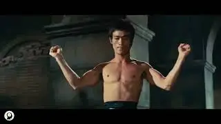 Jeet Kune Do interpretation of Bruce Lee's fighting method