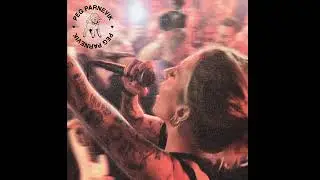 Peg Parnevik - Vart jag mig i världen vänder (Official Audio)