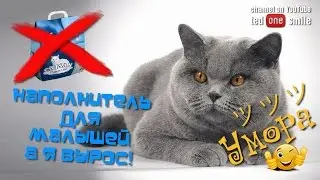 Лайкни КОТЭ Настоящий пацан НАГАДИЛ-СМЫЛ