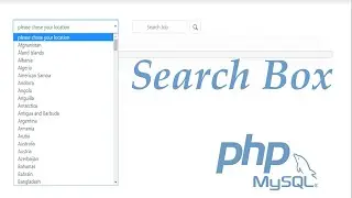 Web development | How to create a search box with filter using php and mysql