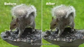Project Starlight: A Major Breakthrough in AI Video Enhancement