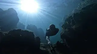 Florida Swamp Free Diving