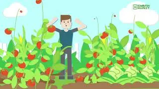 Современный способ консервации - лиофилизация (сублимирование) с сушилкой Harvest Right